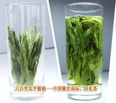 辨別優質正品太平猴魁.jpg