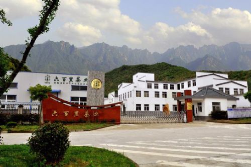 清潔化綜合示范加工廠(chǎng).jpg