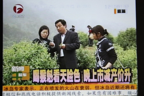 安徽電視臺談今年的猴魁茶.jpg 安徽電視臺談今年的猴魁茶.jpg
