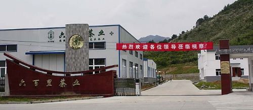 打造茶行業知名品牌.jpg